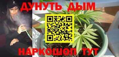 PSILOCYBIN Бугуруслан