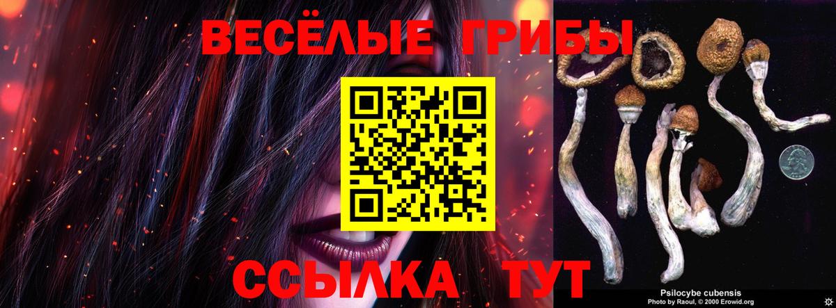 Галлюциногенные грибы Psilocybine cubensis  Вход с VPN  Изобильный 